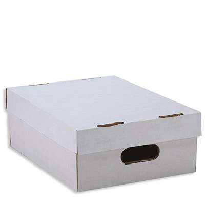White Record Storage Box